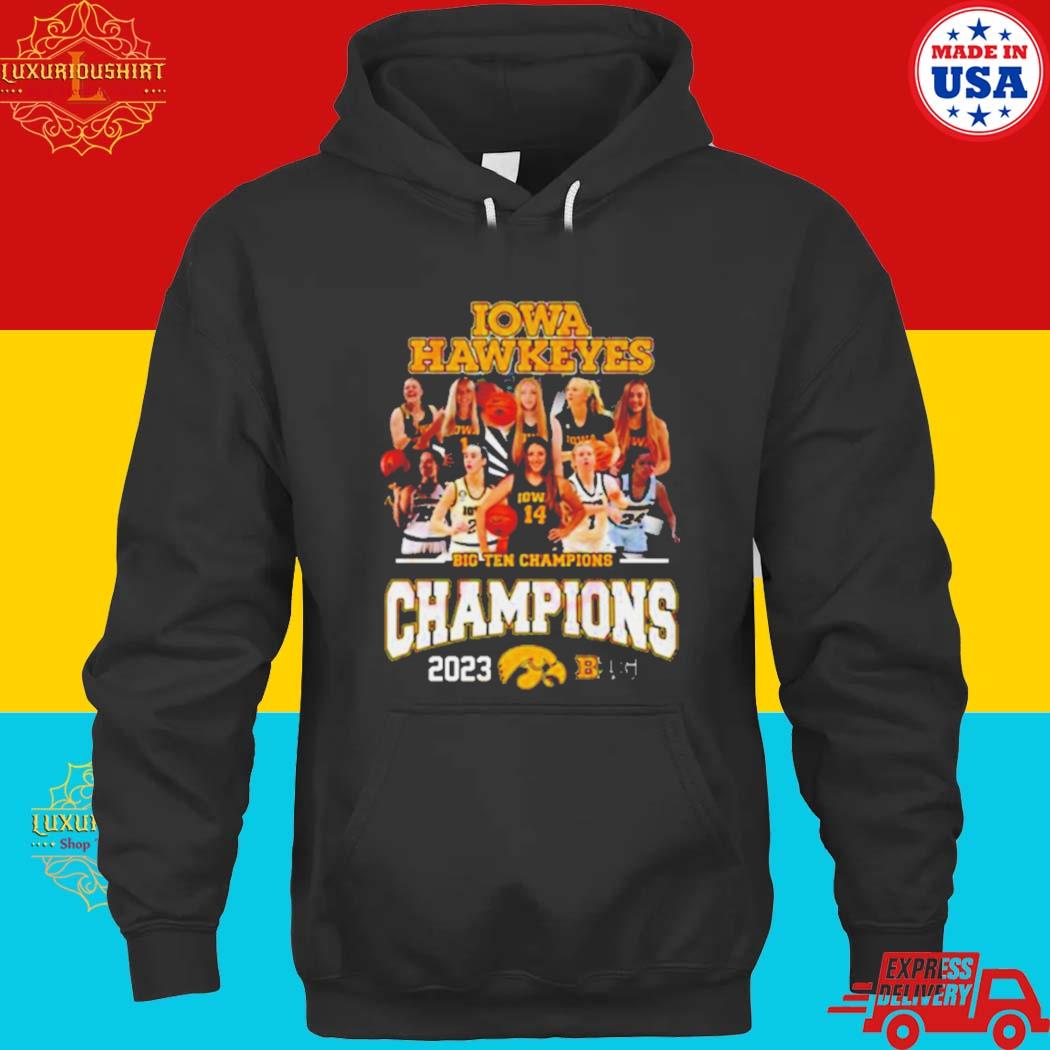 Official iowa Hawkeyes Bigten Champions 2023 T-s hoodie