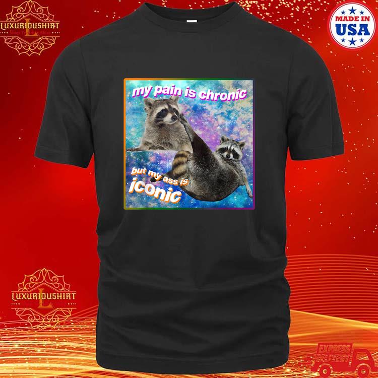 Official My Pain Is Chronic But My Ass Is Iconic Opossums T-Shirt